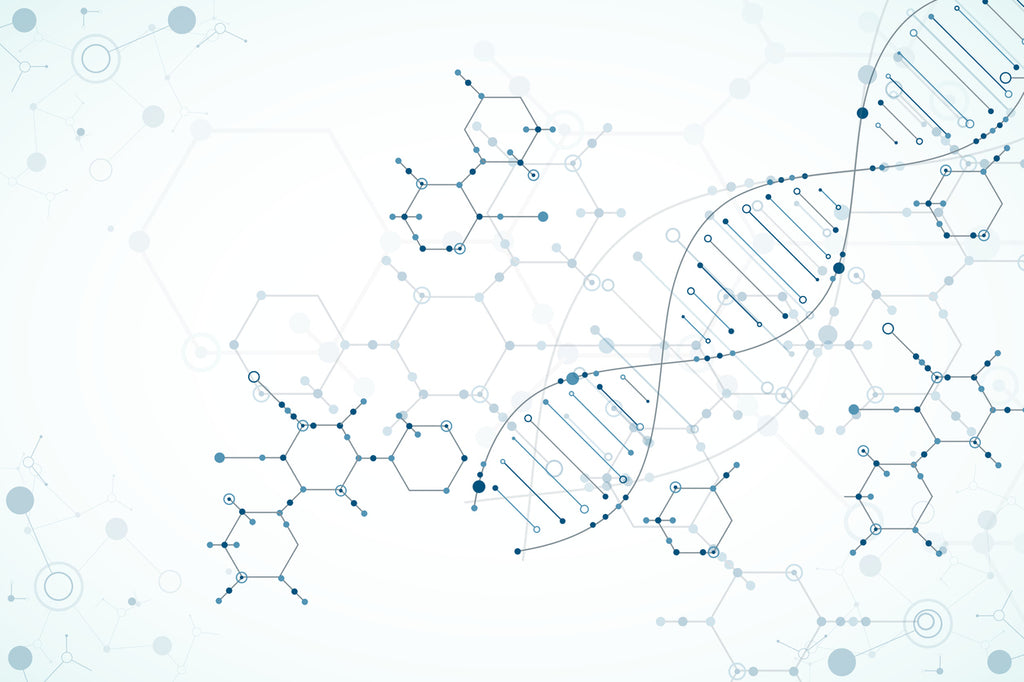 The Beauty of Peptides: Unlocking the Secret to Skin Rejuvenation